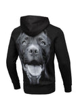 Bluza z kapturem Pitbull IR