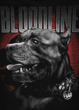 Bluza z kapturem Bloodline