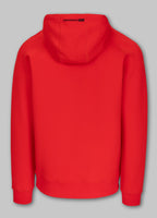 Bluza męska z kapturem DOGWOOD