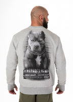 Bluza męska Mugshot