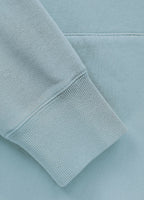Bluza męska z kapturem Washed DOG SD