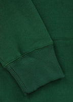 Bluza męska z kapturem Sherwood