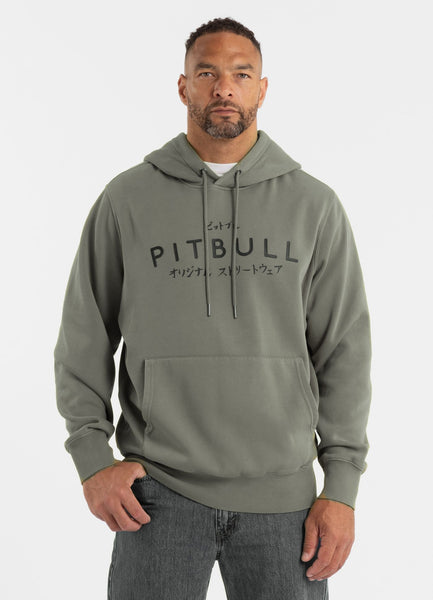 Bluza męska z kapturem Washed MT FUJI