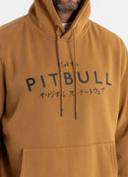 Bluza męska z kapturem Washed MT FUJI