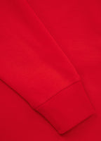 Bluza z kapturem Falcon