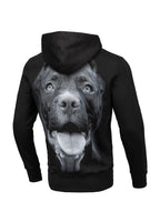 Bluza z kapturem Pitbull IR