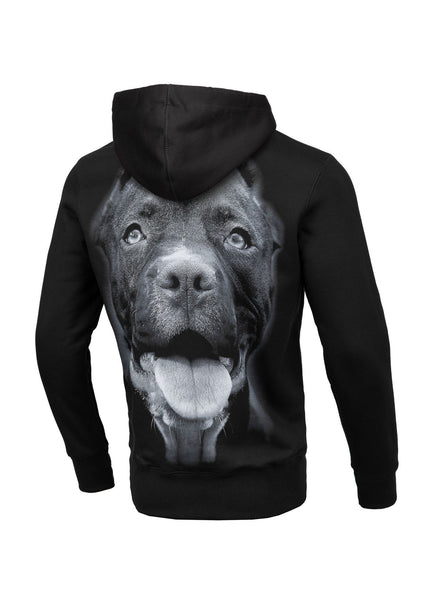 Bluza z kapturem Pitbull IR