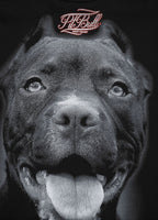 Bluza z kapturem Pitbull IR