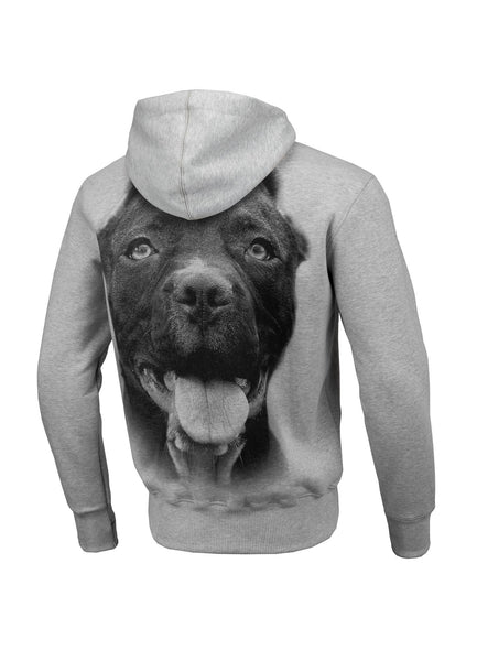 Bluza z kapturem Pitbull IR