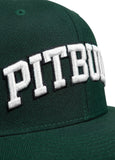 Czapka Snapback PITBULL