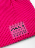 Czapka zimowa PITBULL DOCK