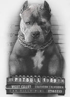 Koszulka Mugshot II