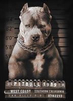 Koszulka Mugshot II