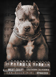 Koszulka Mugshot II