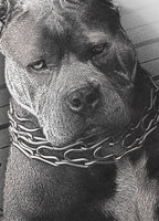 Koszulka Mugshot II