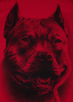 Bluza męska z kapturem Tricot Red Nose