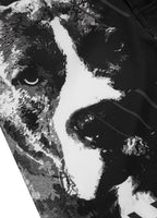 Spodenki Grapplingowe 3 STREET DOG Czarne - kup z Pit Bull West Coast Oficjalny Sklep 